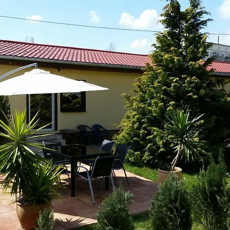 Gruene Oase * Halle (Saale)